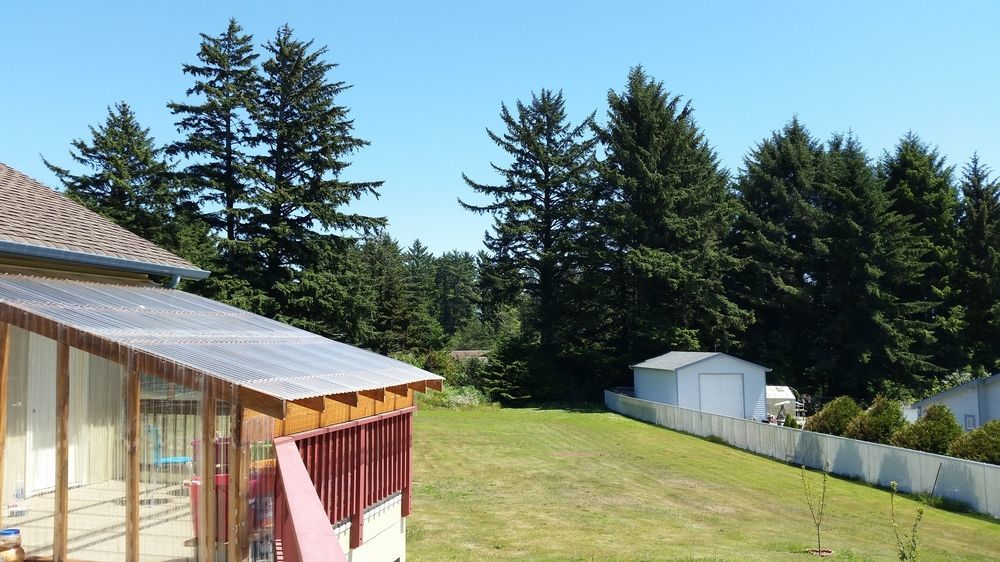 Arky'S B&B Smith River Dış mekan fotoğraf